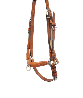 Serretón hebilla inoxidable brillo con adaptador de filete | Un pilar