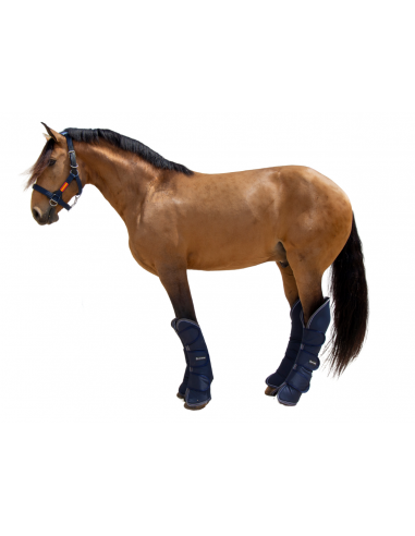 Protector de transporte 600D 'Los... Protector de transporte 600D 'Los...