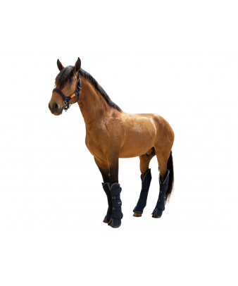 Protector de transporte 600D 'Los Nietos Dressage'