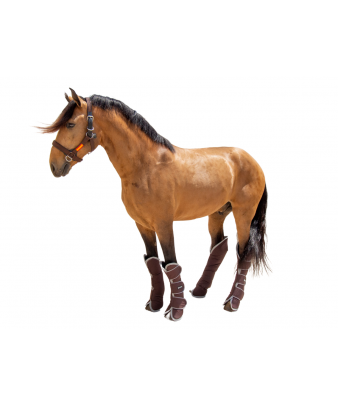 Protector de transporte 600D 'Los Nietos Dressage'