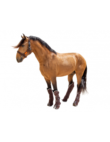 Protector de transporte 600D 'Los...