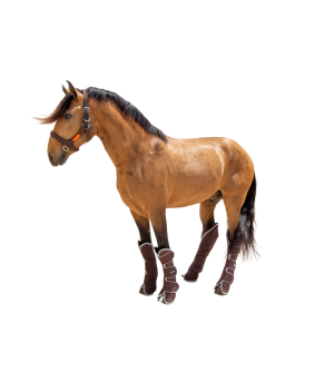 Protector de transporte 600D 'Los Nietos Dressage'