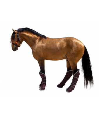 Protector de transporte 600D 'Los Nietos Dressage'