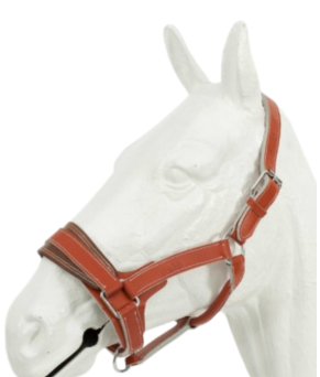 Cabezada de cuadra cromo proteccion Kamell