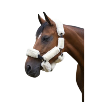 Protector de testera y nariz de borreguito suave