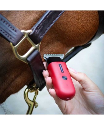 Esquiladora de retoques... 2