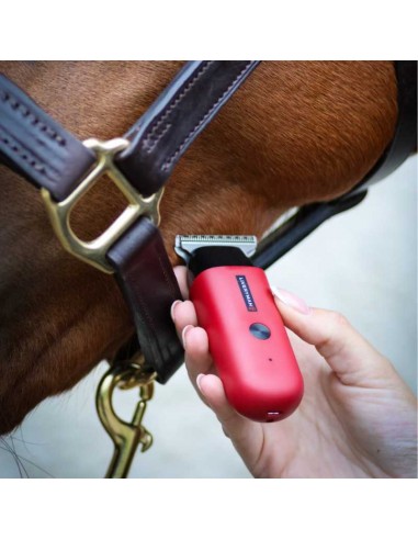 Esquiladora de retoques Robyn Liveryman