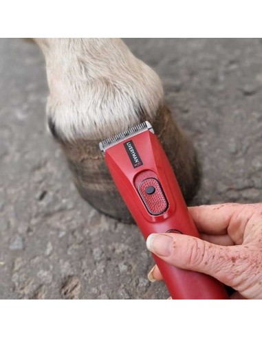 Esquiladora Liveryman Nova