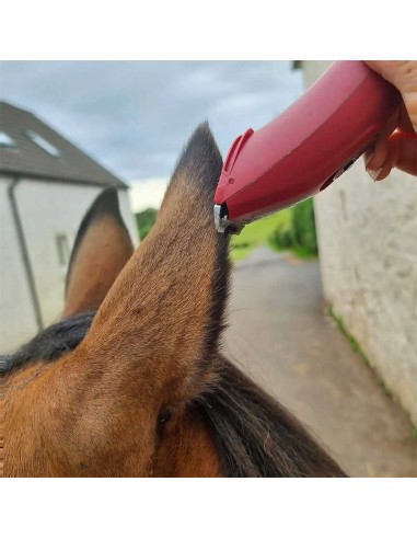 Esquiladora Liveryman Nova