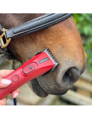 Esquiladora Liveryman Nova