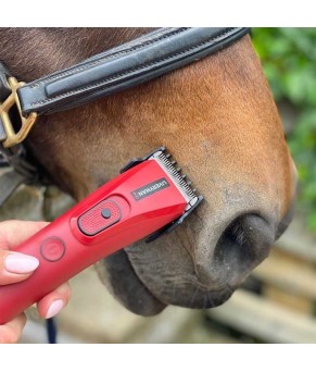 Esquiladora Liveryman Nova