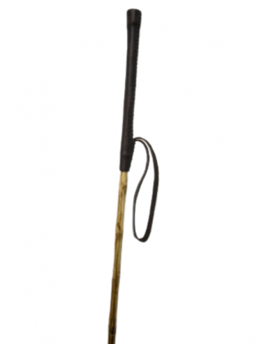 Vara amazona acebuche 'Los Nietos' Vara amazona acebuche 'Los Nietos'