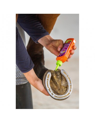 Protección de la ranilla Equinatura |...