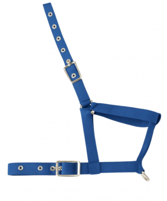 Cabezada nylon Kamell para...
