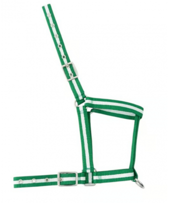 Cabezada nylon Kamell para potros | Varios colores