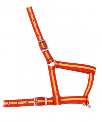 Cabezada nylon Kamell para potros | Varios colores