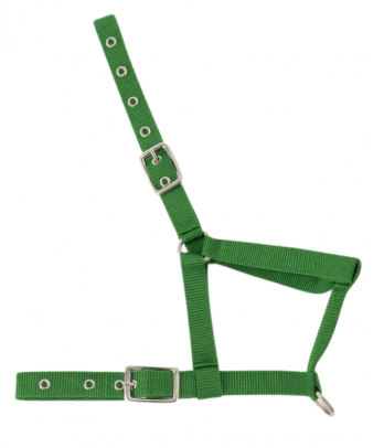 Cabezada nylon Kamell para potros | Varios colores