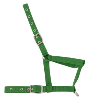 Cabezada nylon Kamell para potros | Varios colores