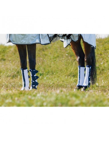 Protectores antimoscas riding world |...