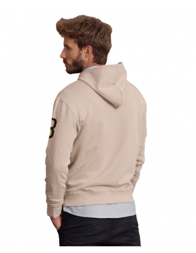 Sudadera capucha escudo