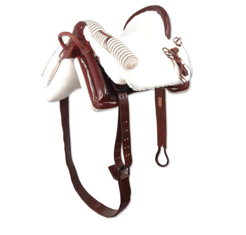 Montura vaquera acoso y derribo