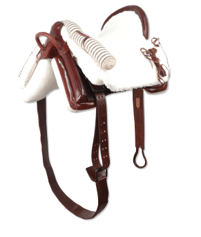 Montura vaquera acoso y derribo