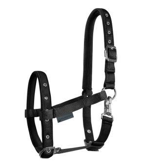 Cabezada para potro Confort | Varios colores