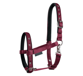 Cabezada para potro Confort | Varios colores