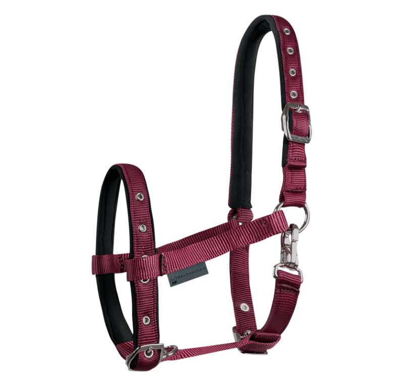 Cabezada para potro Confort | Varios colores