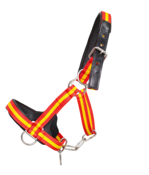 Cabezada cuadra nylon extra "Los Nietos Dressage" | Varios colores
