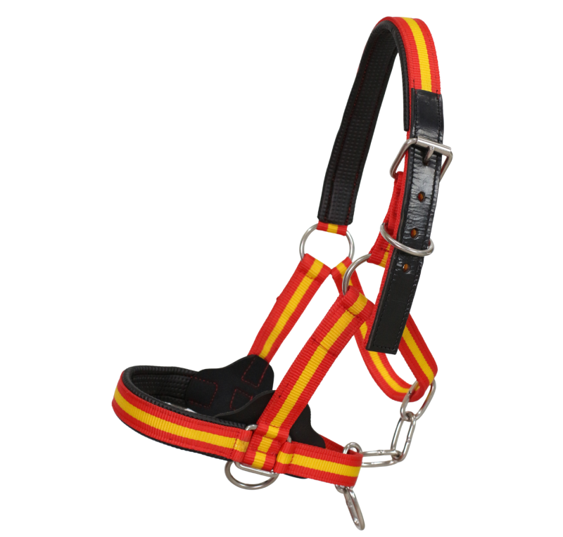 Cabezada cuadra nylon extra "Los Nietos Dressage" | Varios colores