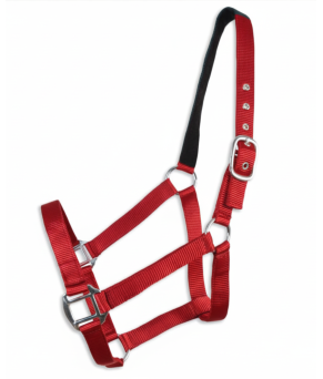 Cabezada cuadra Eco "Los Nietos Dressage"| Varios colores