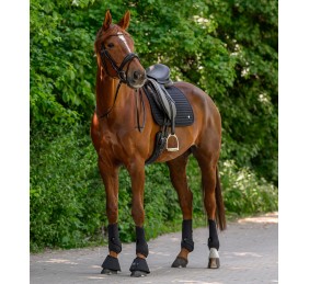Mantilla Trinidad | Varios colores