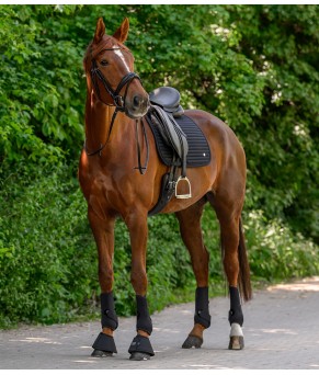 Mantilla Trinidad | Varios colores