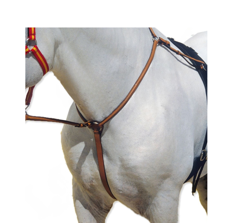 Pechopetral cruz inglés Kamell