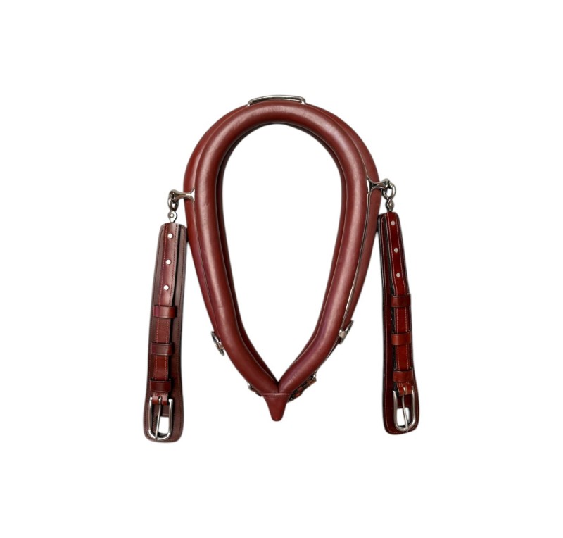 Collarón sencillo super diplomático inglés