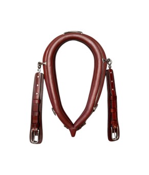 Collarón sencillo super diplomático inglés