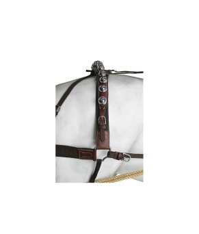 Enganche doble calesero | Cuero y nylon