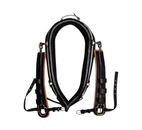 Enganche doble collarón inglés | Cuero y nylon