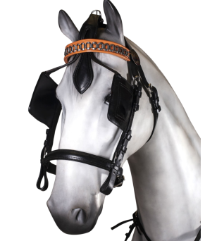 Enganche doble collarón inglés | Cuero y nylon