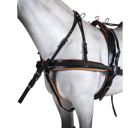 Enganche doble collarón inglés | Cuero y nylon