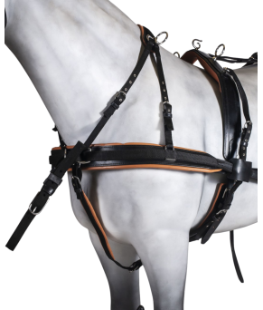 Enganche doble collarón inglés | Cuero y nylon