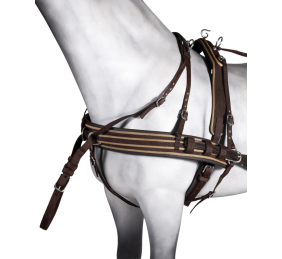 Enganche doble PP combinado SS