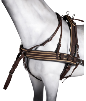 Enganche doble PP combinado SS