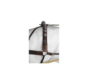 Enganche sencillo calesero | Cuero y Nylon