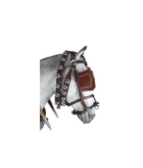 Enganche sencillo calesero | Cuero y Nylon