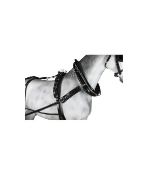 Enganche sencillo collarón inglés charol