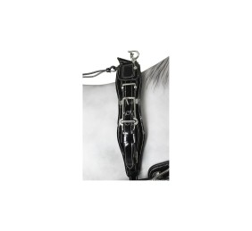 Enganche sencillo collarón inglés charol