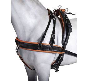 Enganche sencillo collarón inglés | Cuero y Nylon