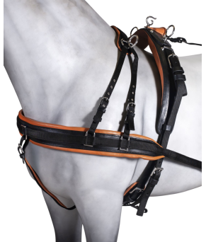 Enganche sencillo collarón inglés | Cuero y Nylon